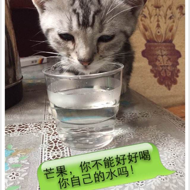 日本东京农业大学文凭毕业证作假